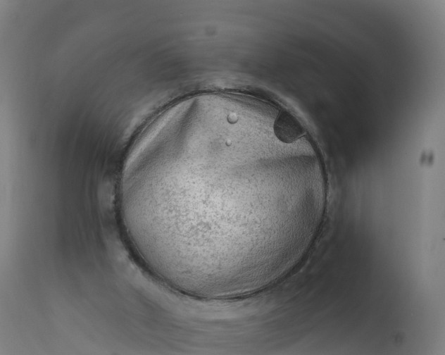 X0000112420010200908281849