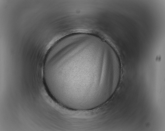 X0000112420011200908281849