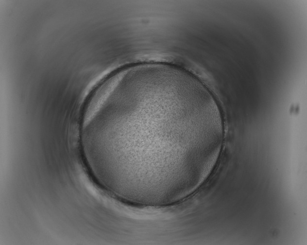 X0000112420012200908281849