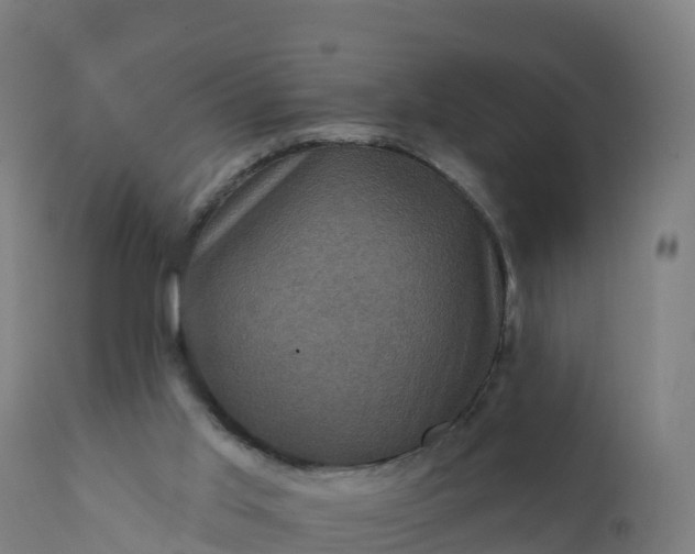 X0000112420013200908281849