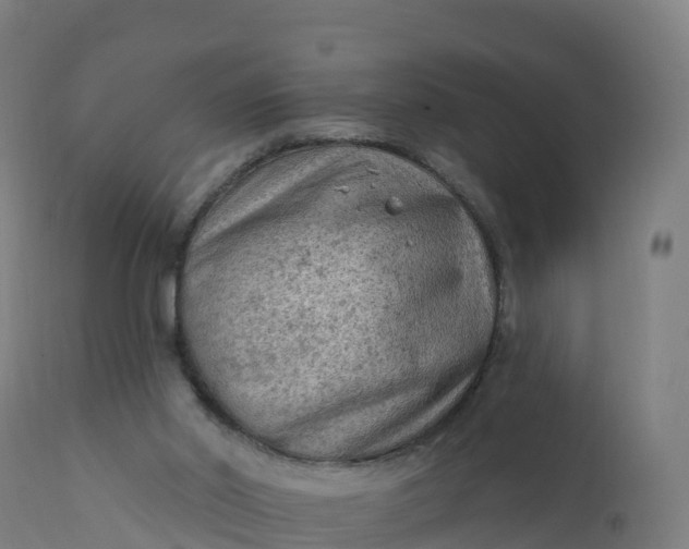 X0000112420014200908281849