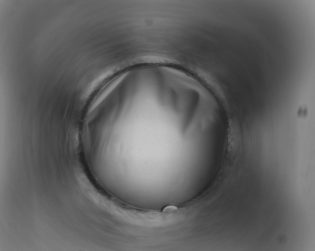 X0000112420015200908281849