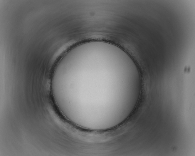 X0000112420016200908281849