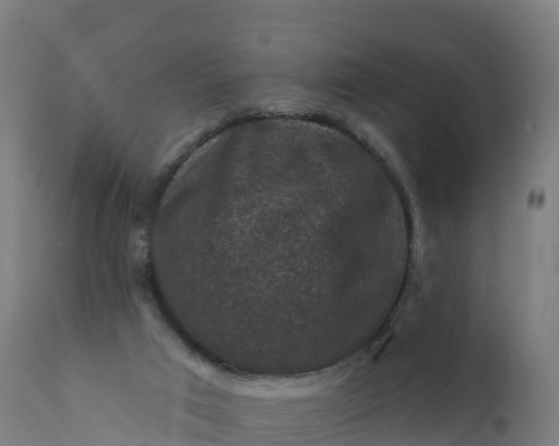 X0000112420017200908281849