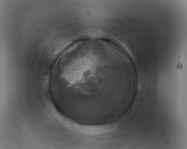 X0000112420018200908281849