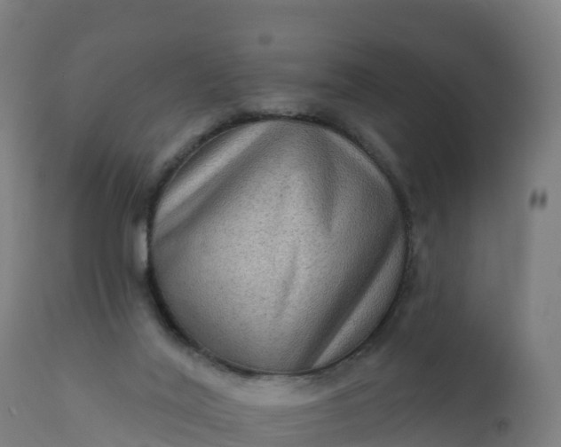 X0000112420020200908281849