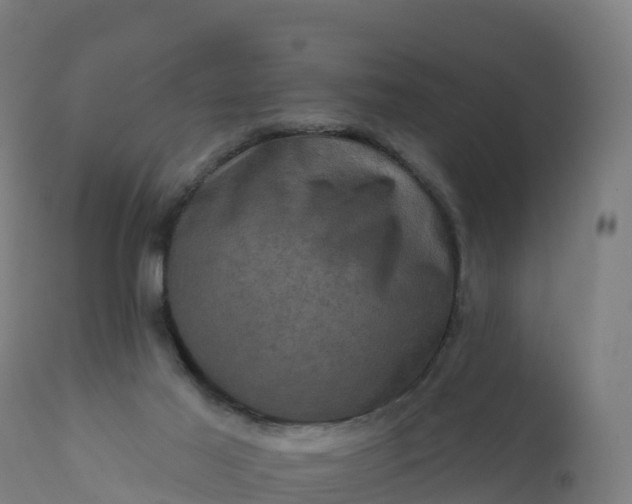 X0000112420021200908281849