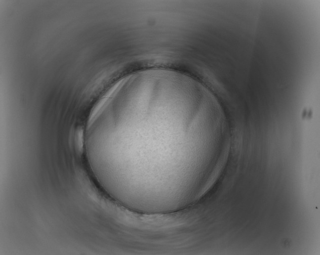 X0000112420022200908281849