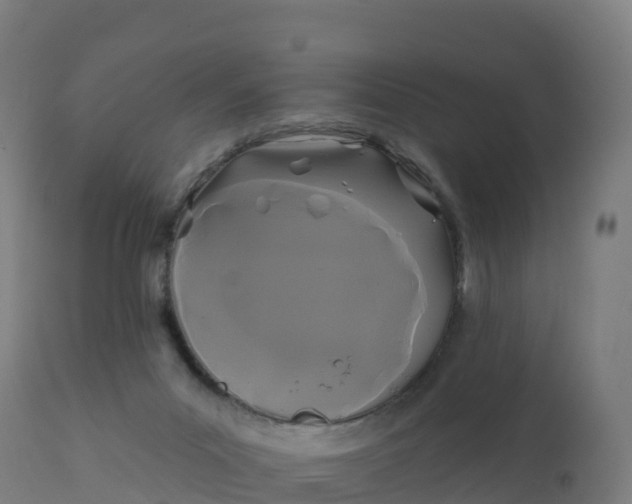 X0000112420023200908281849