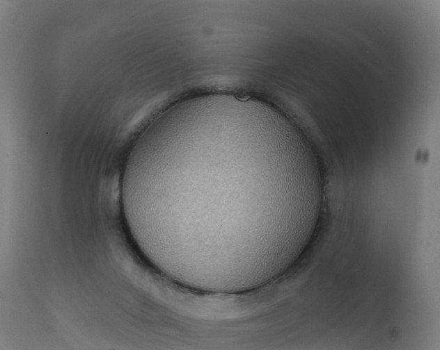 X0000112420024200908281849