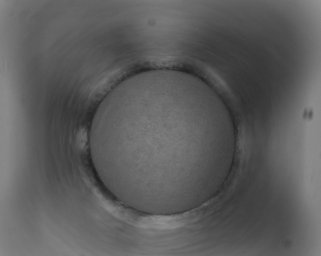 X0000112420025200908281849