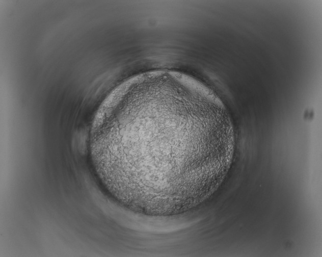 X0000112420026200908281849