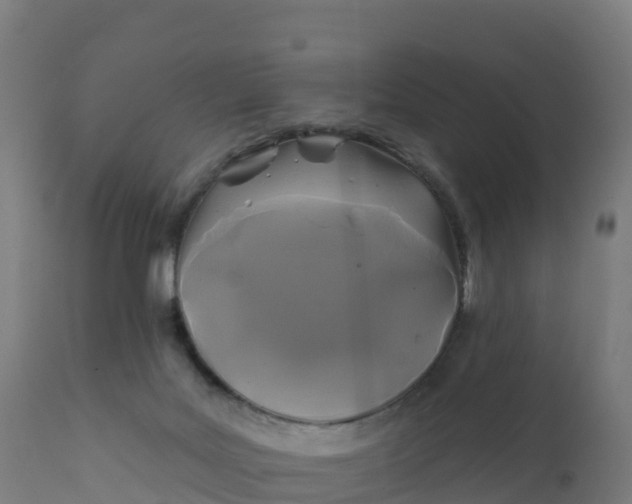 X0000112420027200908281849