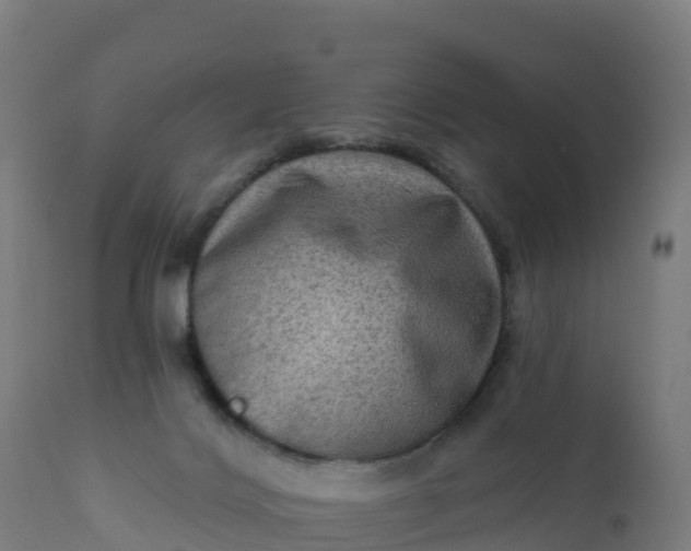 X0000112420028200908281849