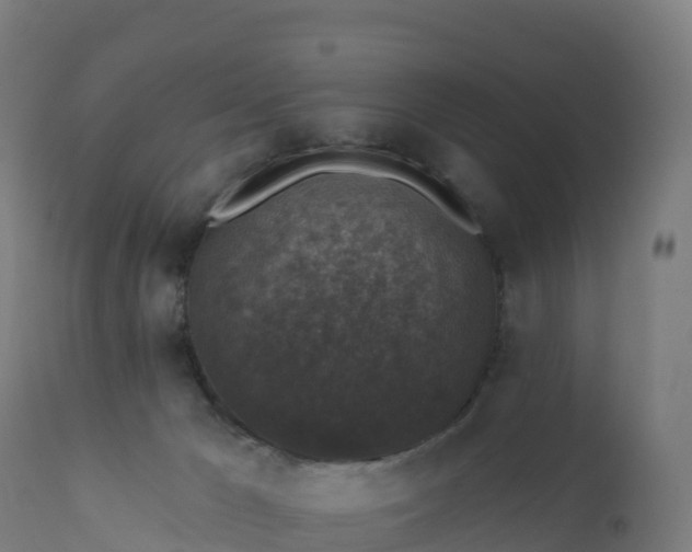 X0000112420029200908281849