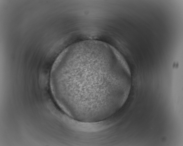 X0000112420030200908281849