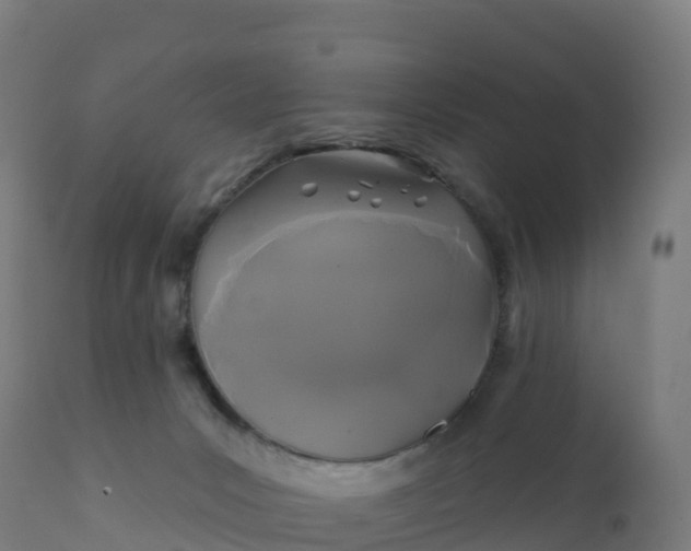 X0000112420031200908281849