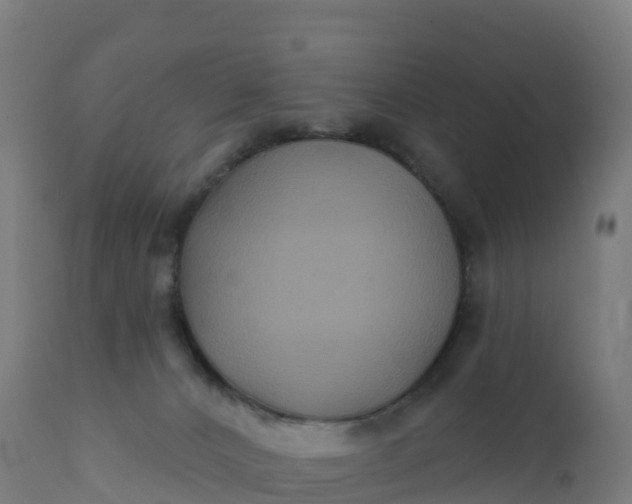 X0000112420032200908281849