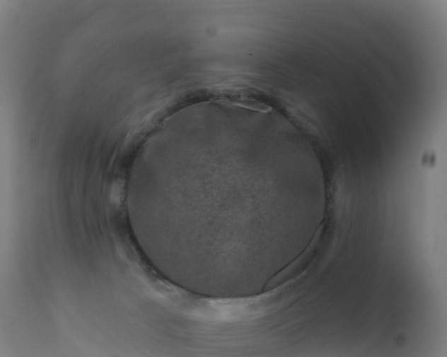 X0000112420033200908281849