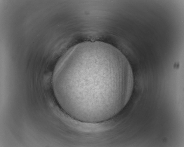 X0000112420034200908281849