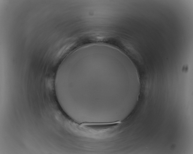 X0000112420035200908281849