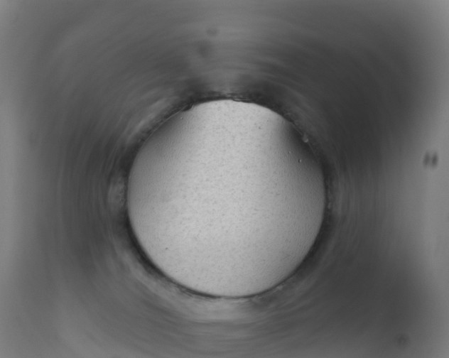 X0000112420036200908281849