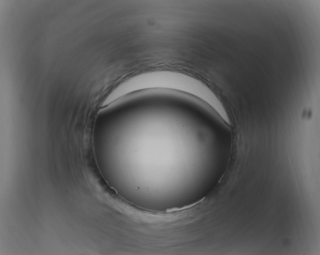 X0000112420039200908281849