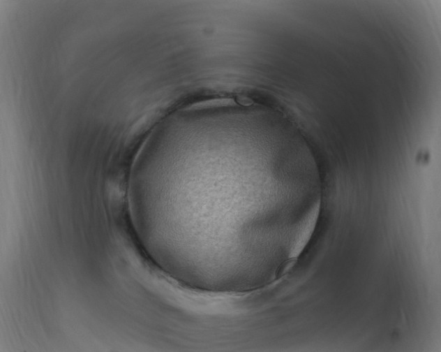 X0000112420040200908281849