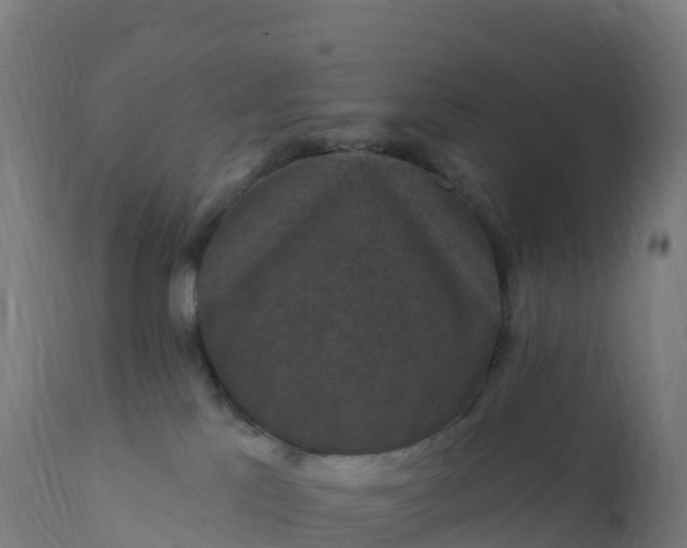 X0000112420041200908281849