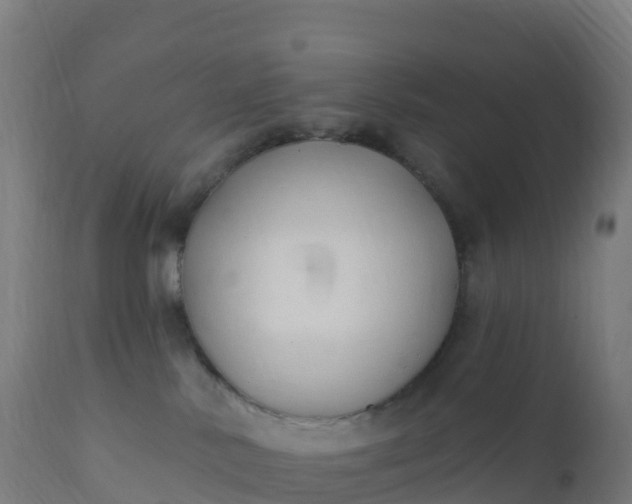 X0000112420042200908281849