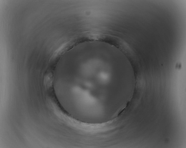 X0000112420043200908281849