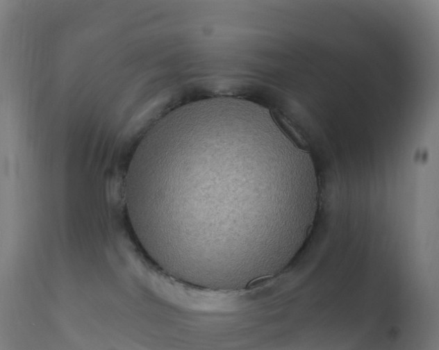 X0000112420044200908281849