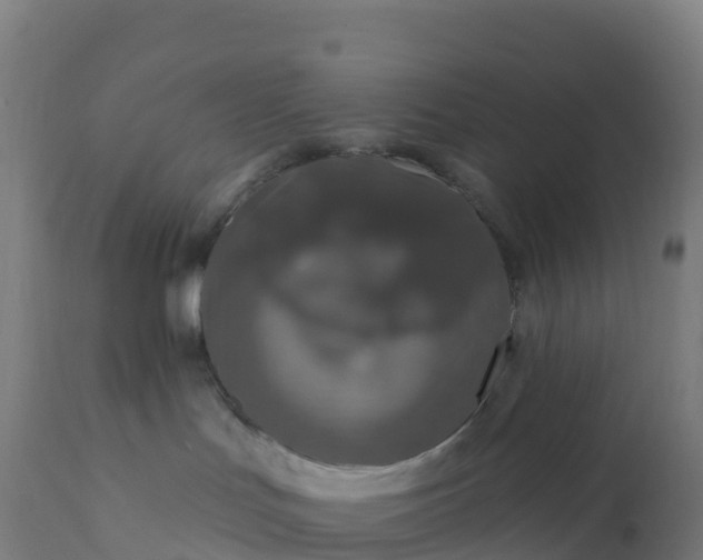 X0000112420047200908281849