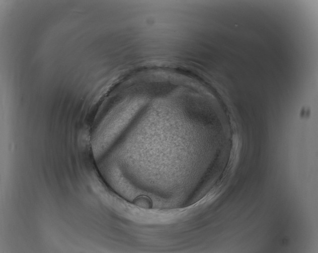 X0000112420048200908281849