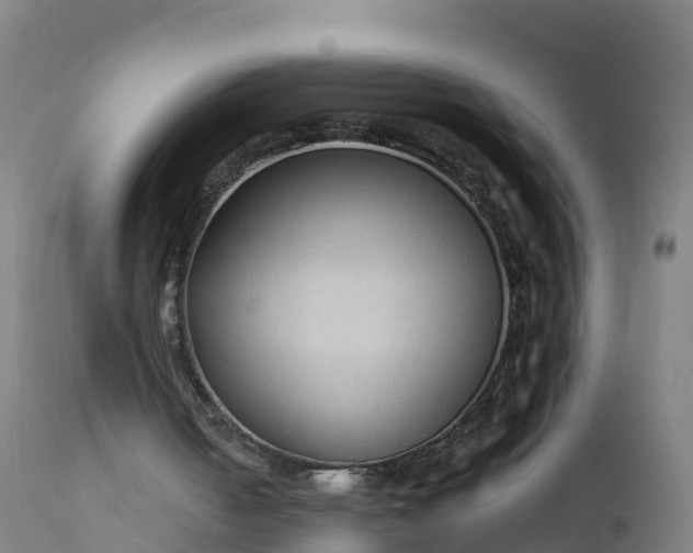 X0000112420050200908281848