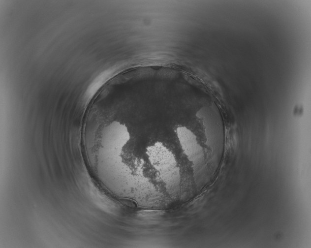 X0000112420051200908281848