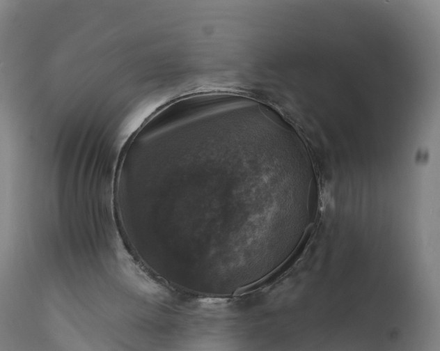 X0000112420052200908281848