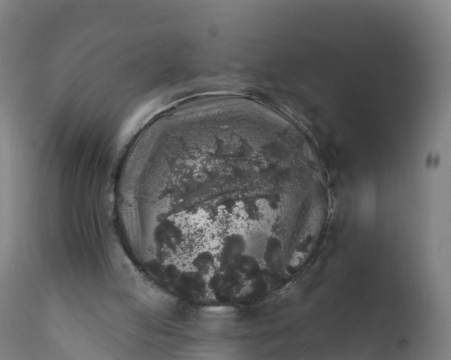 X0000112420053200908281848