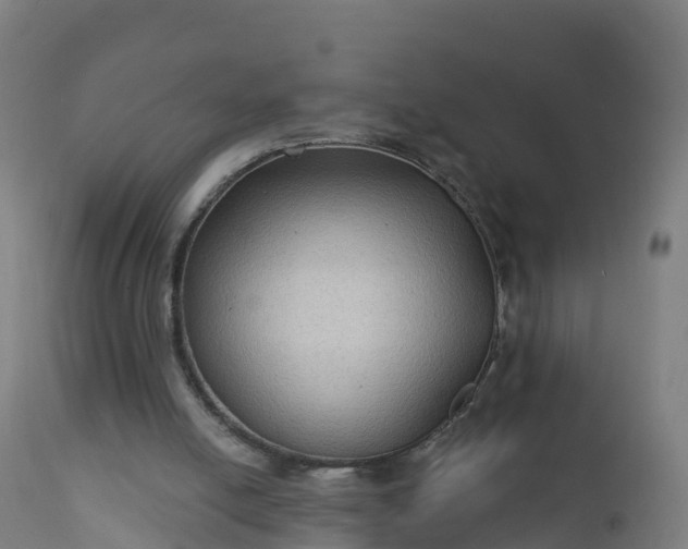 X0000112420054200908281848