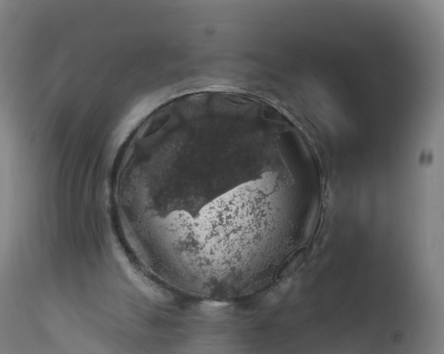 X0000112420055200908281848