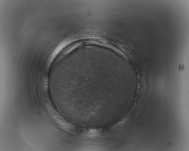 X0000112420056200908281848