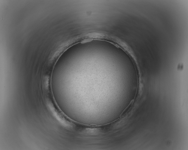 X0000112420057200908281848