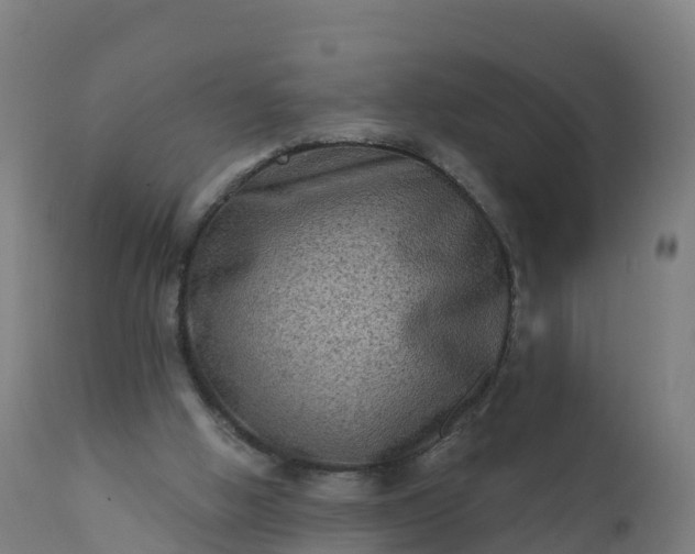 X0000112420058200908281848