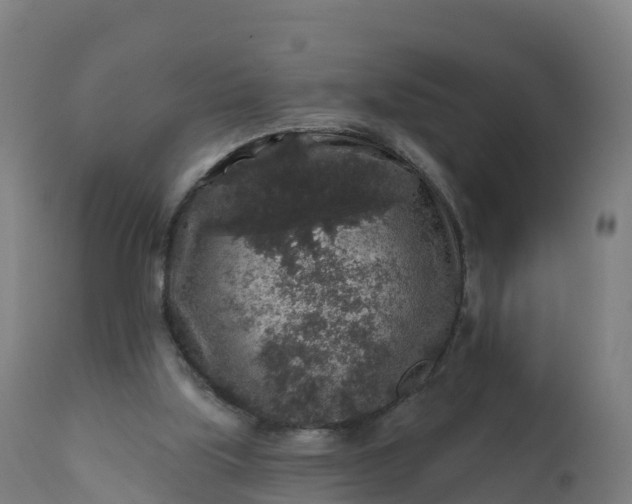 X0000112420059200908281848