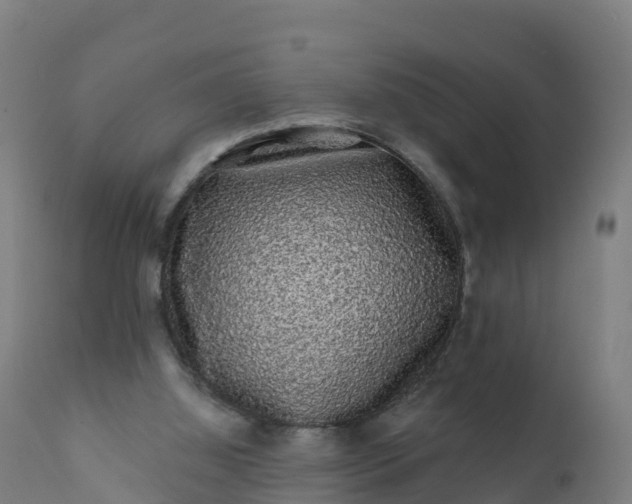 X0000112420060200908281848