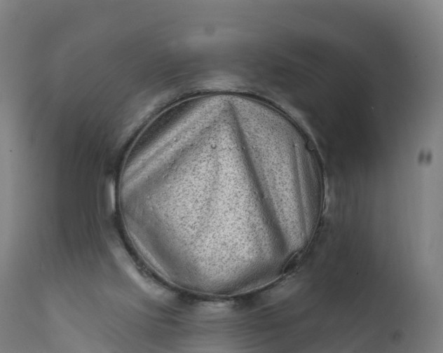 X0000112420061200908281848