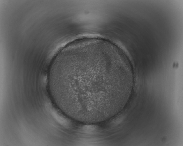 X0000112420063200908281848