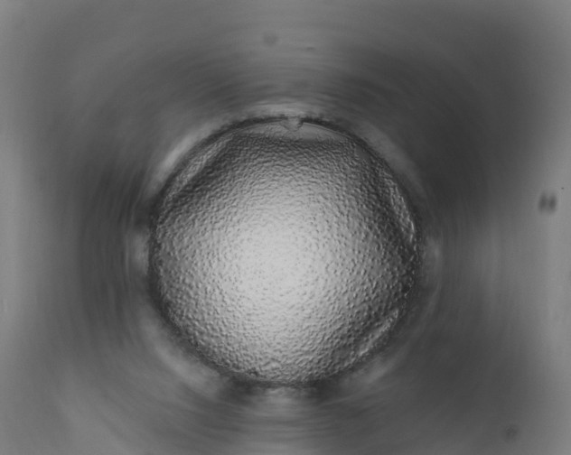 X0000112420064200908281848