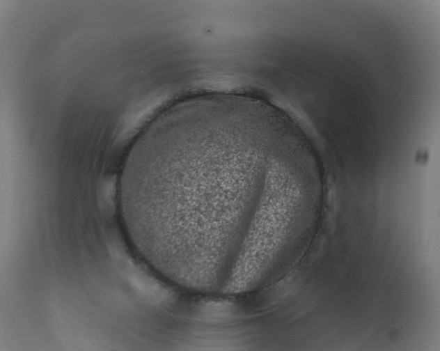 X0000112420066200908281848