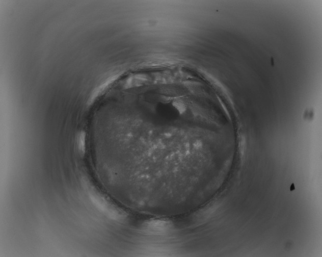 X0000112420067200908281848